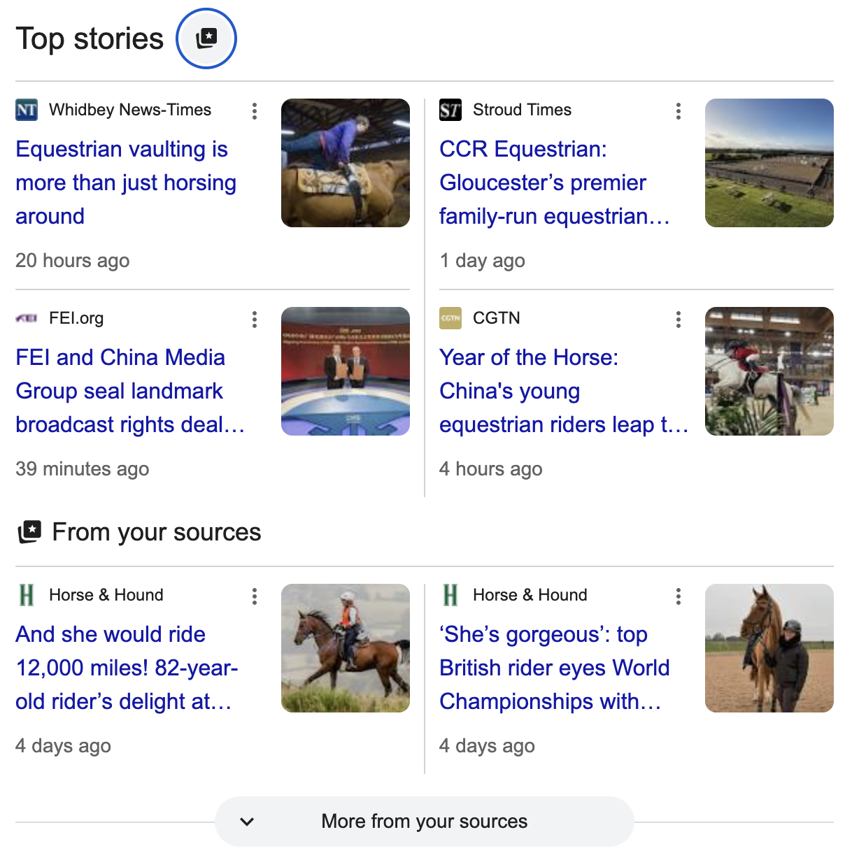 A Google screenshot showing Horse &amp;amp; Hound in top stories