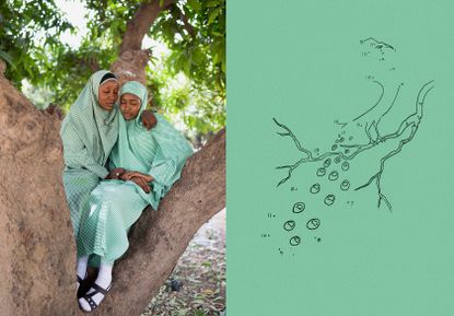 photograph of african women on tree