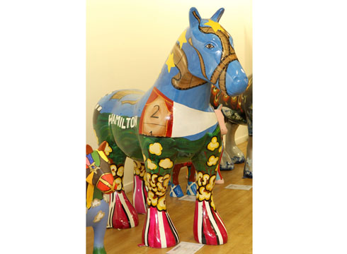 TF16301 SLC Gallop