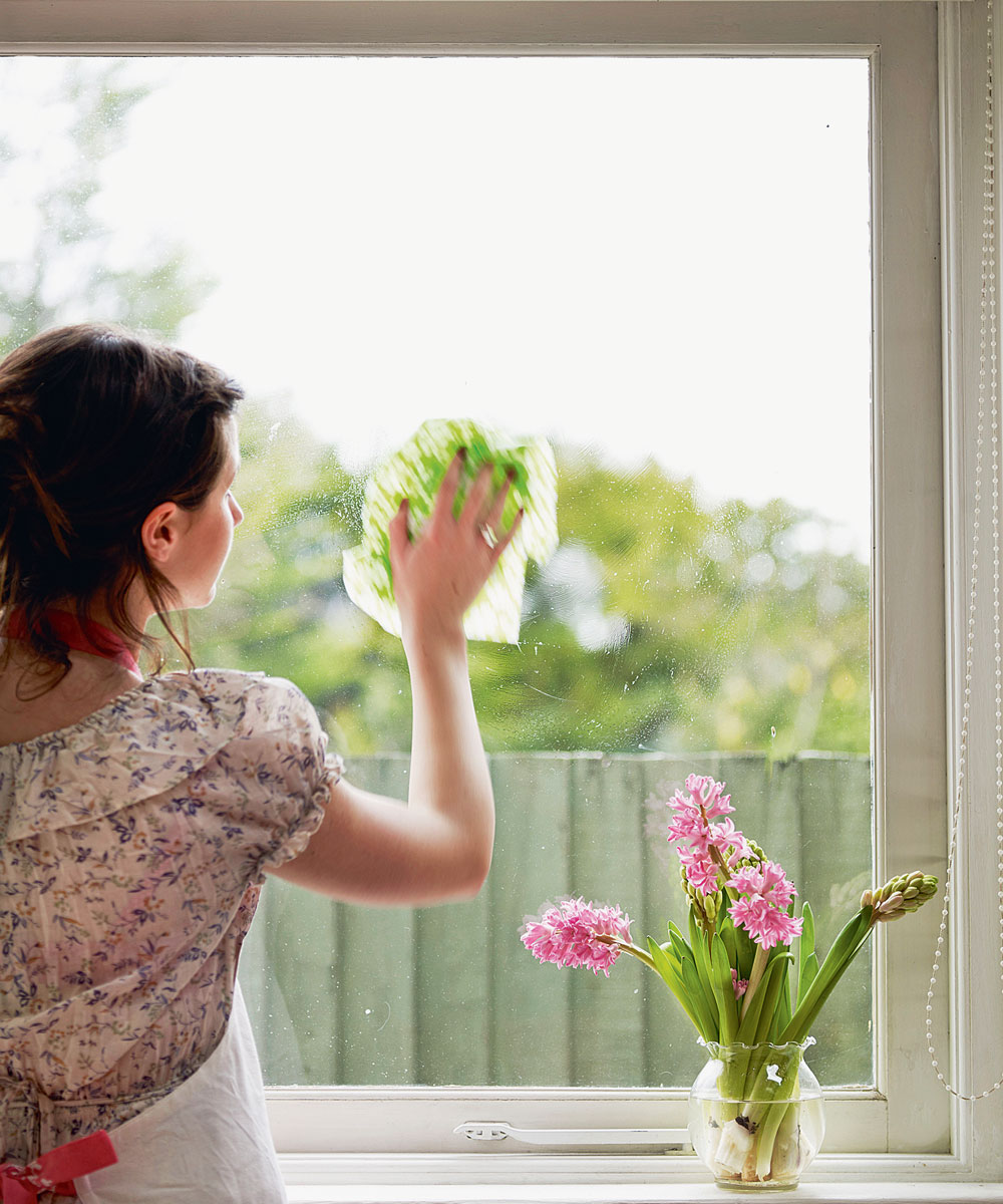 woman cleaning glass window with cleaning cloth flower vase