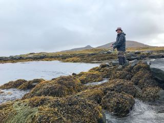 Bob Mortimer fishing on the rocks North Uist in Series 4 of Gone Fishing.