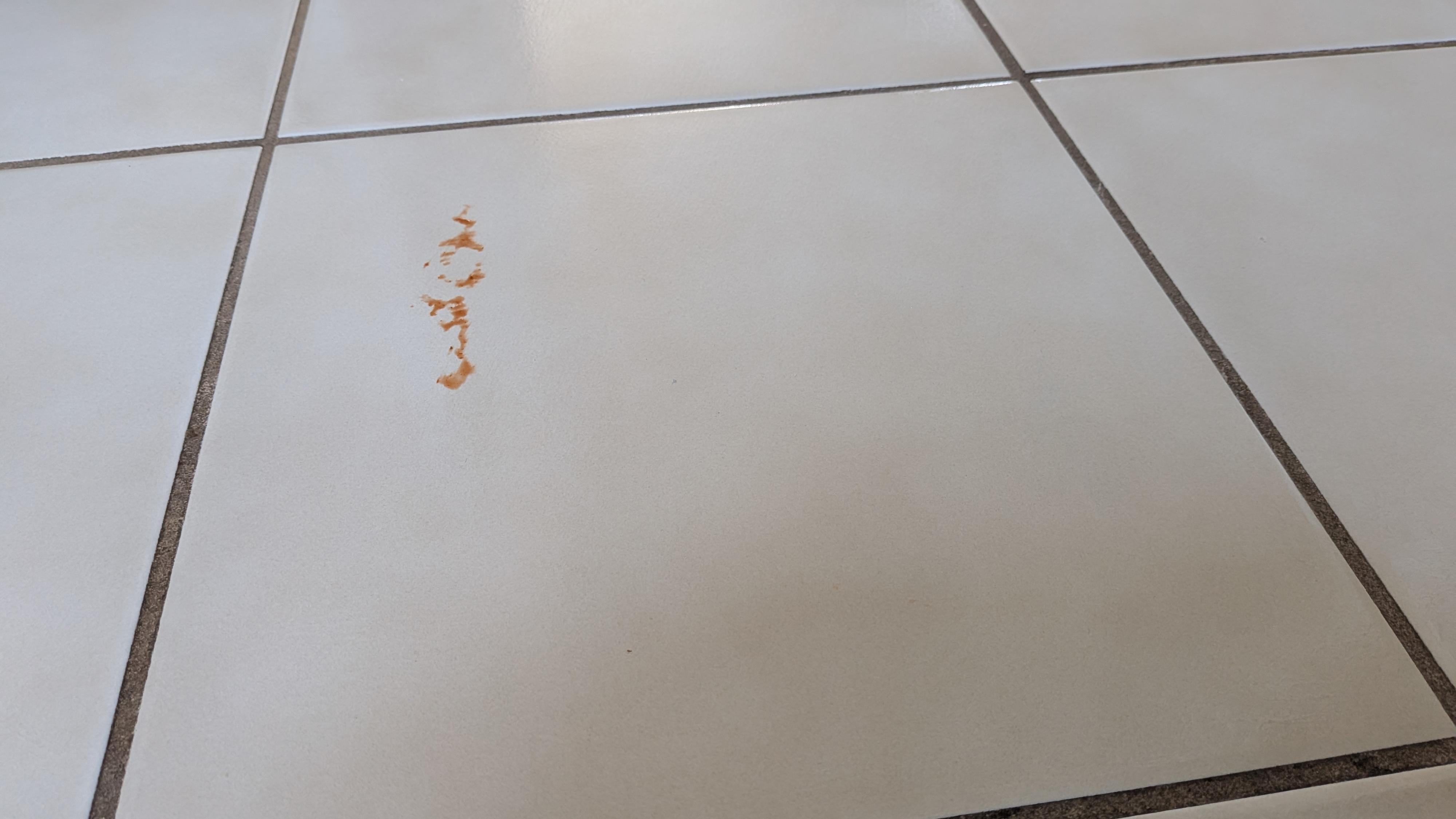 Remnant of ketchup on a tiled floor during the mopping test