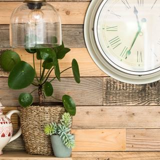 Pilea houseplant in rattan basket on shelf with wood clad wall and a clock on it