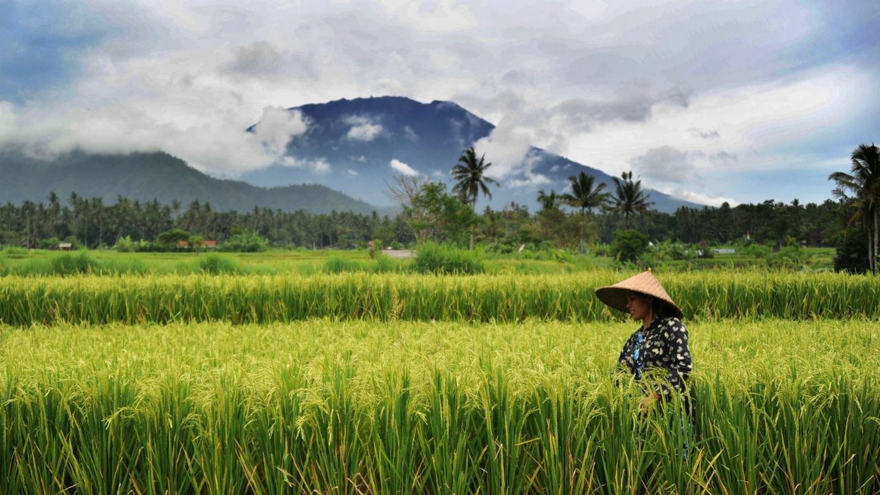 Mount Agung