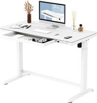 Flexispot EW8 Electric Standing Desk:Was $500Now $399
Save $101