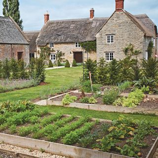 garden area with veggies