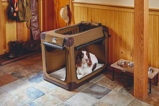 Orvis doghouse