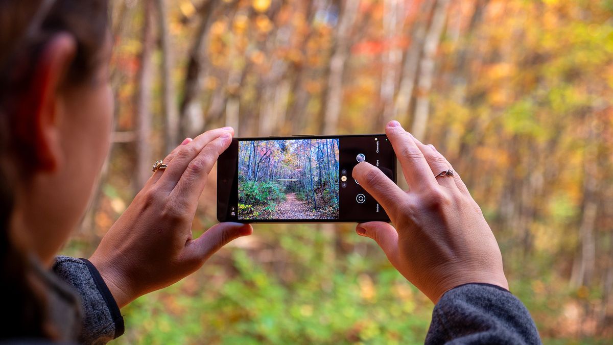 Those phones. Google Pixel 7.