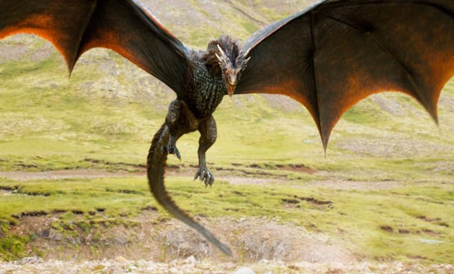 Our expert takes on your burning dragon questions - News