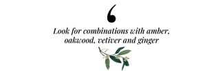 Quote that reads: "Look for combinations with amber, oakwood, vetiver and ginger" with an illustration of leaves on a branch