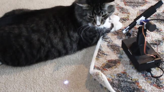 Raspberry Pi Cat Laser Robot