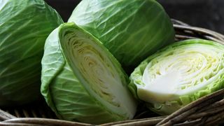 Basket of green cabbages