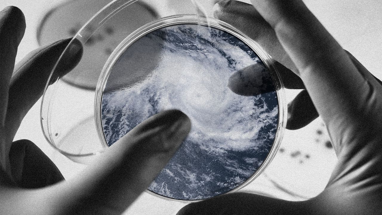 Photo collage of a hurricane in a Petri dish