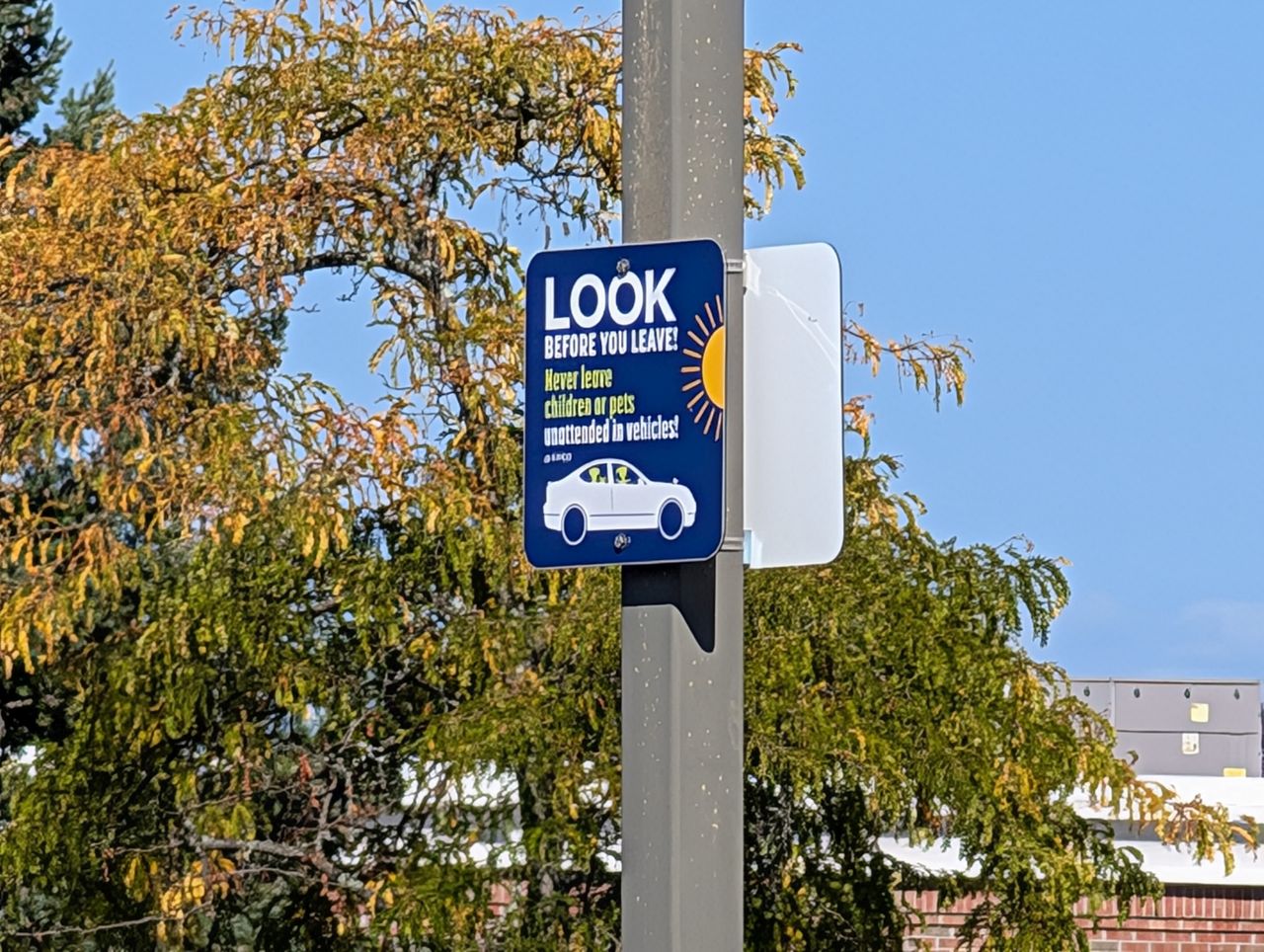 Google Pixel 9 Pro XL zoom sample.