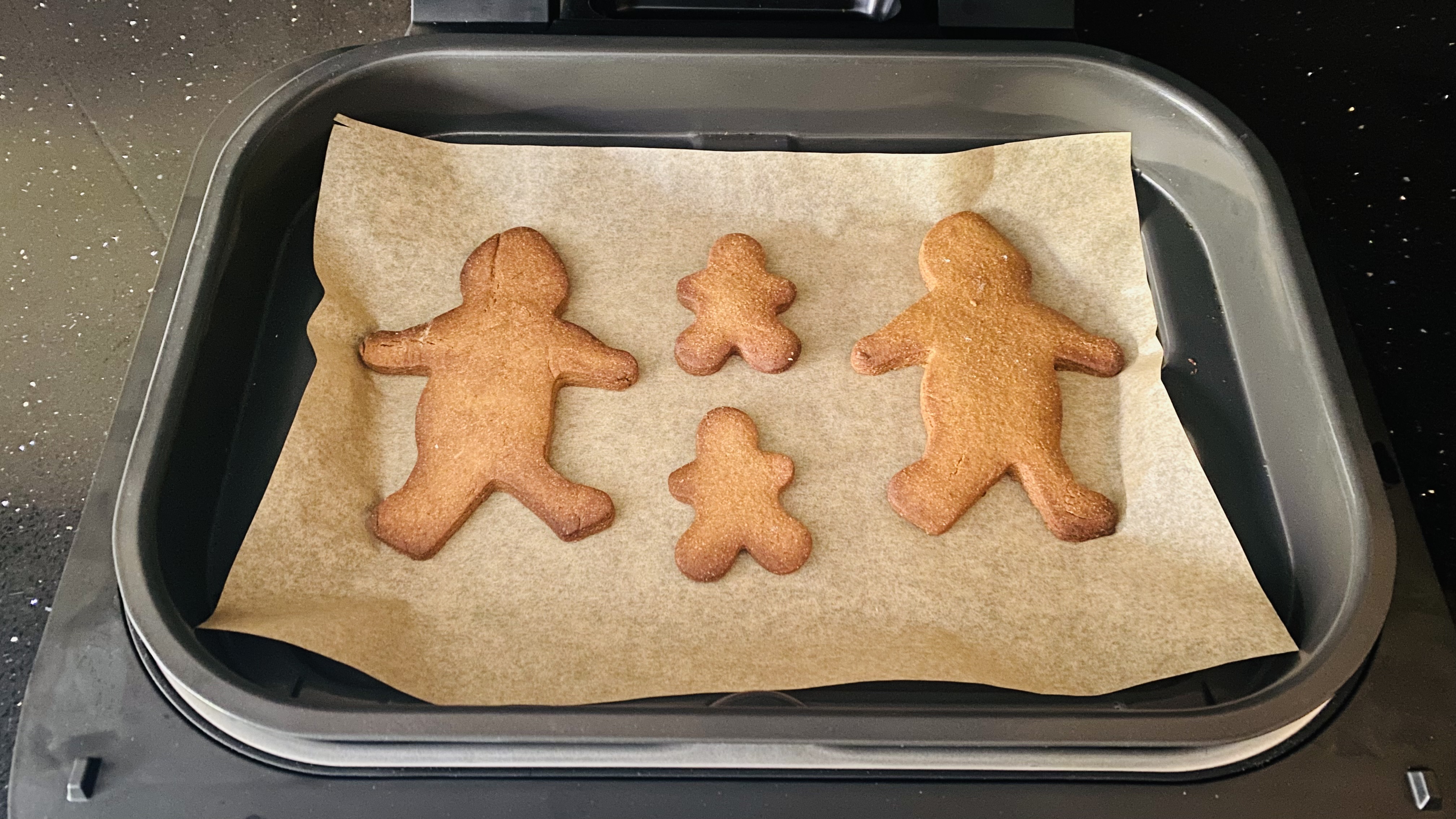 Air Fryer Gingerbread Cookies made in the Ninja Foodi MAX Health Grill & Air Fryer AG551UKDBCP