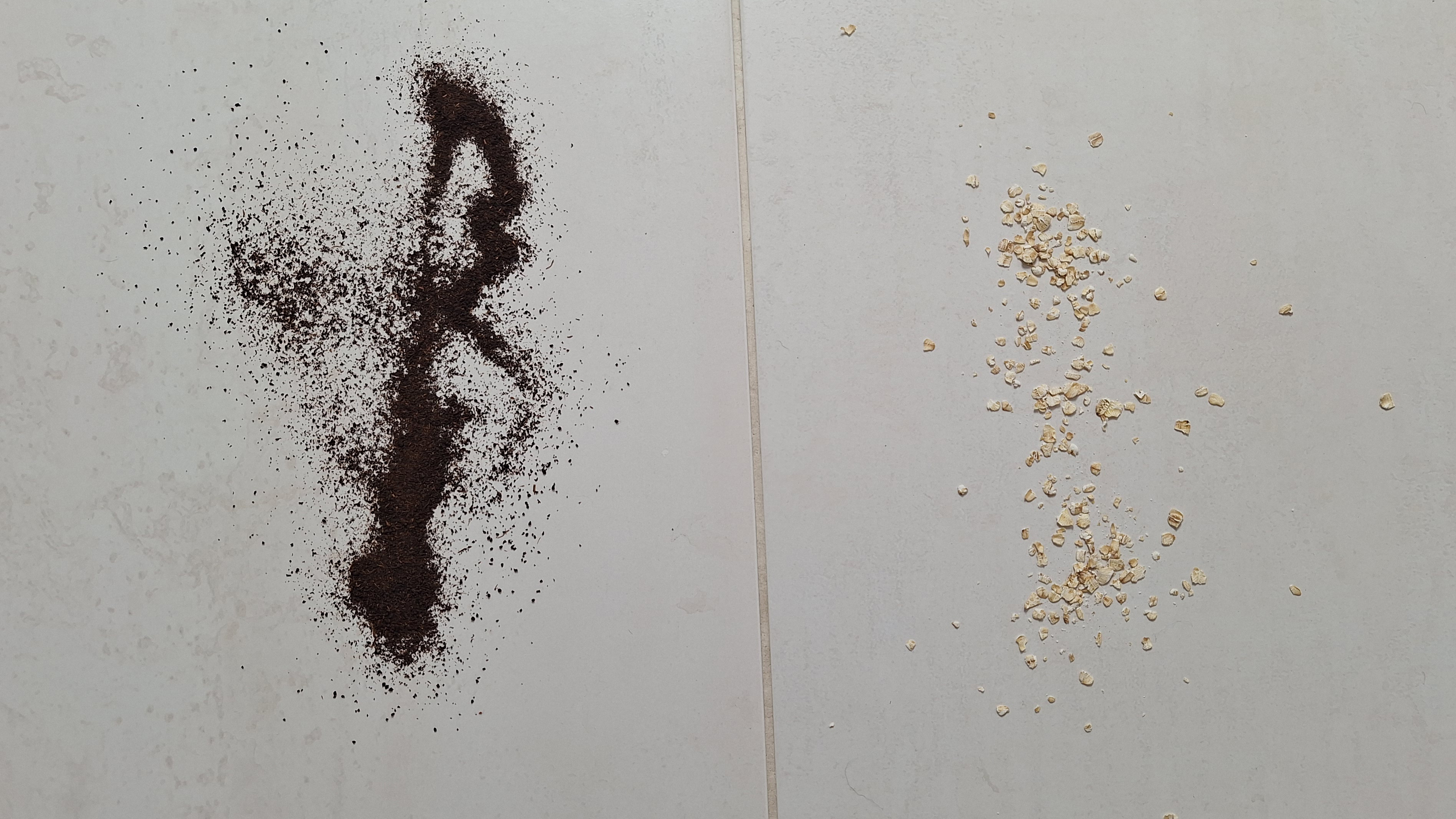 Loose tea and oats on tiled floor, ready for vacuuming test