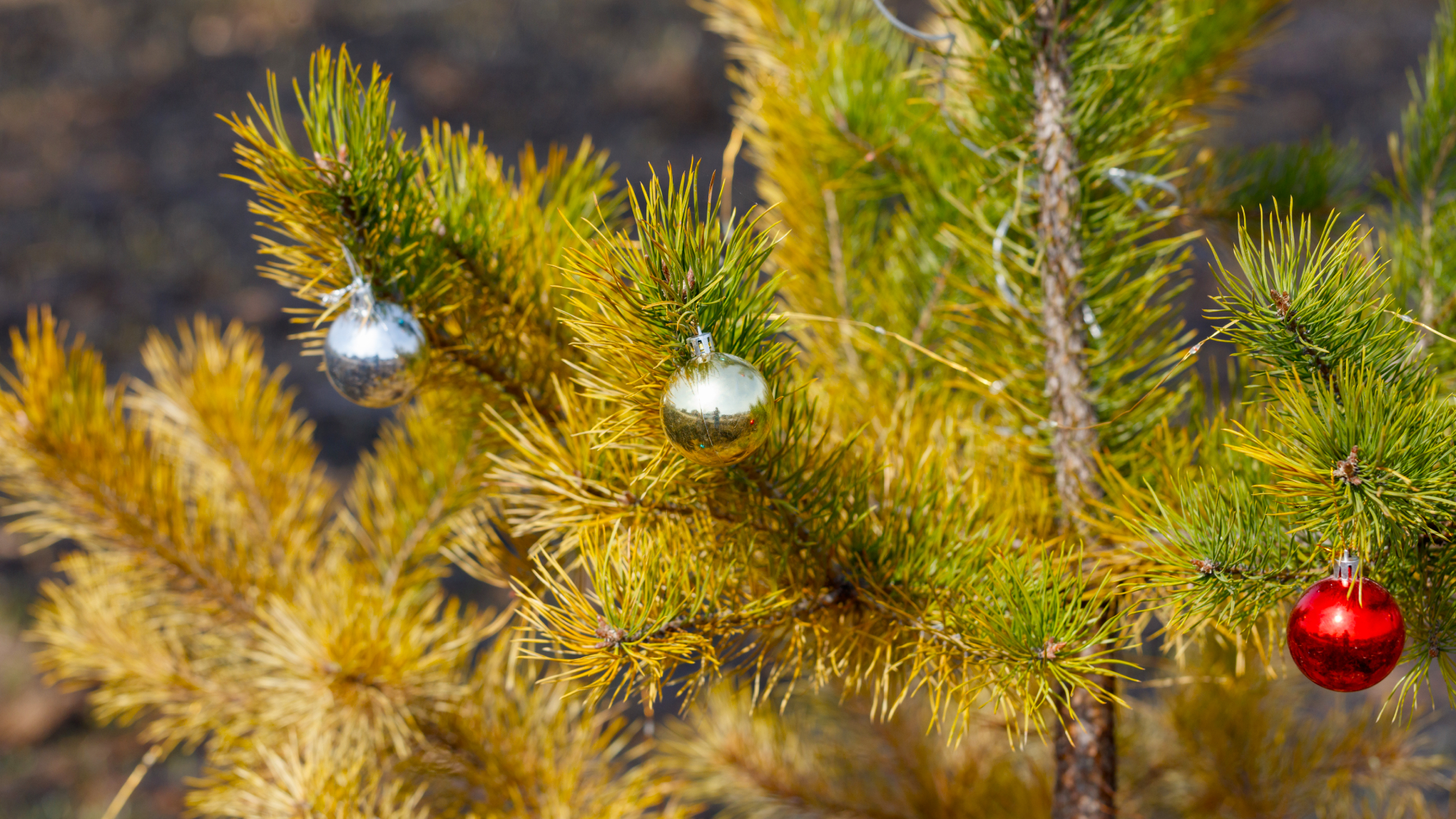yellow christmas tree with ornaments