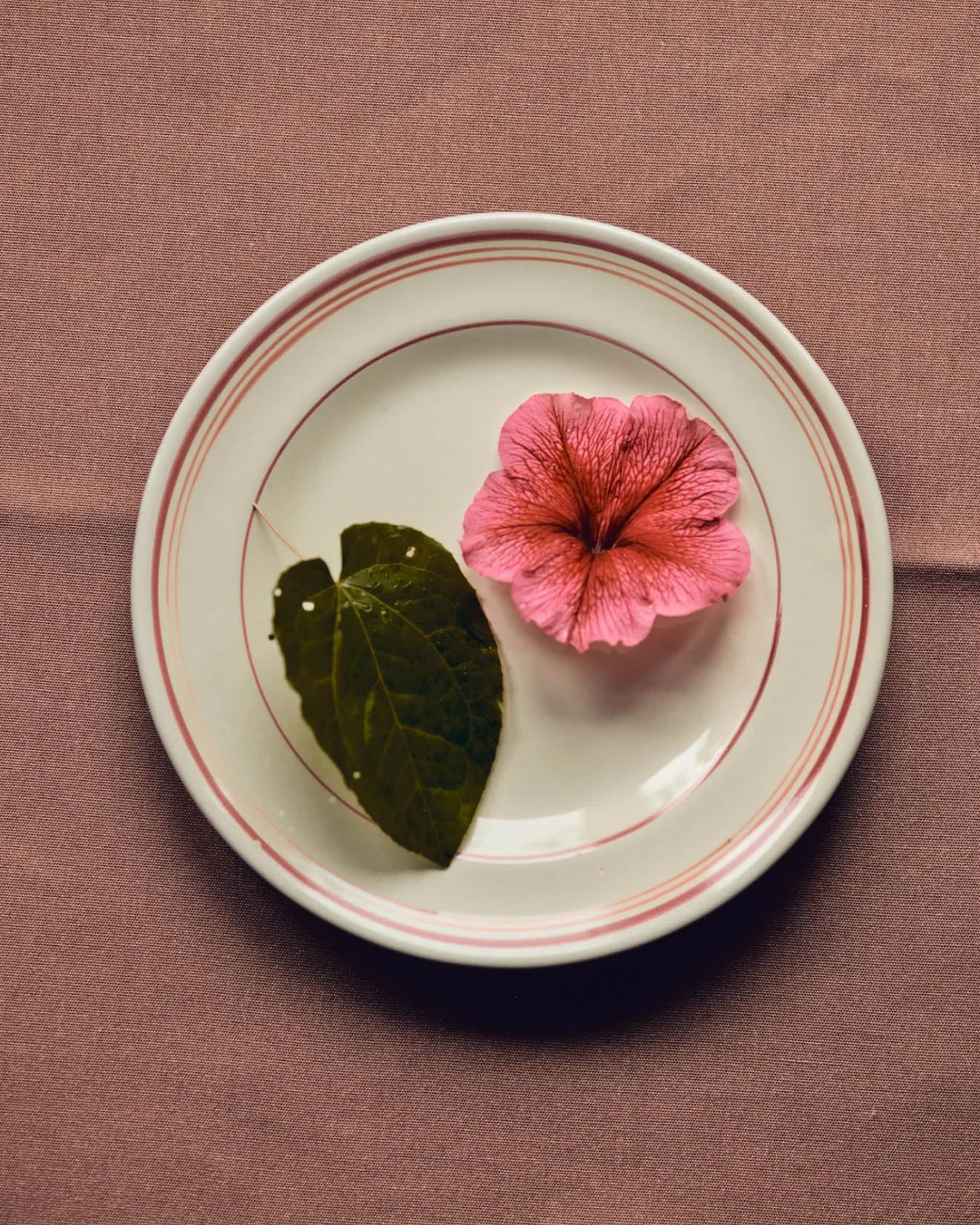 Rowen &amp;amp; Wren, Blush Hand Painted Dinner Plate