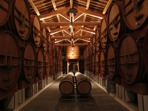 Ch&amp;acirc;teau de Beaucastel barrel room