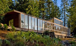The house is positioned between two redwood trees with an east-west orientation