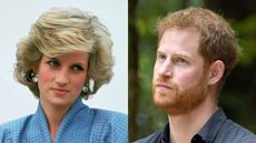 Prince Harry took trip to 'woman with powers' who claimed to be able to help him 'relay message' to Princess Diana