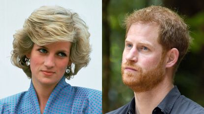 Prince Harry took trip to 'woman with powers' who claimed to be able to help him 'relay message' to Princess Diana