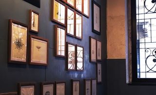 Navy wall with framed illustrations