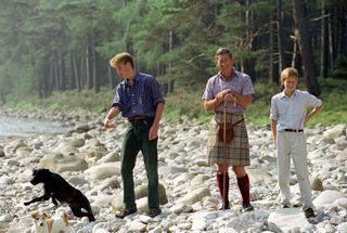 King Charles, Prince Harry and Prince William on a rocky beach with two dogs