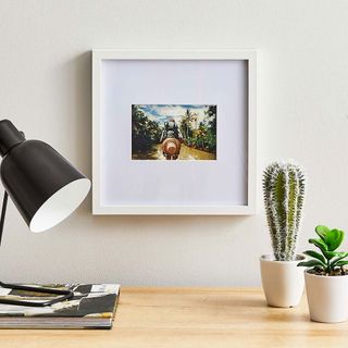 frame on wall lamp and cactus pot