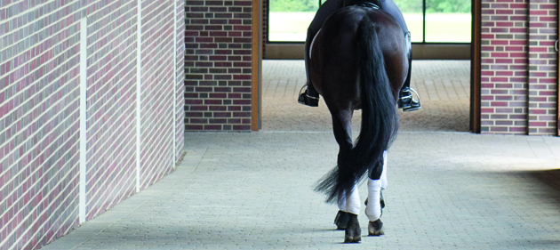 Other-walkway.jpg