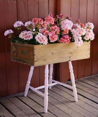 Set of draws on chair legs used as a planter box