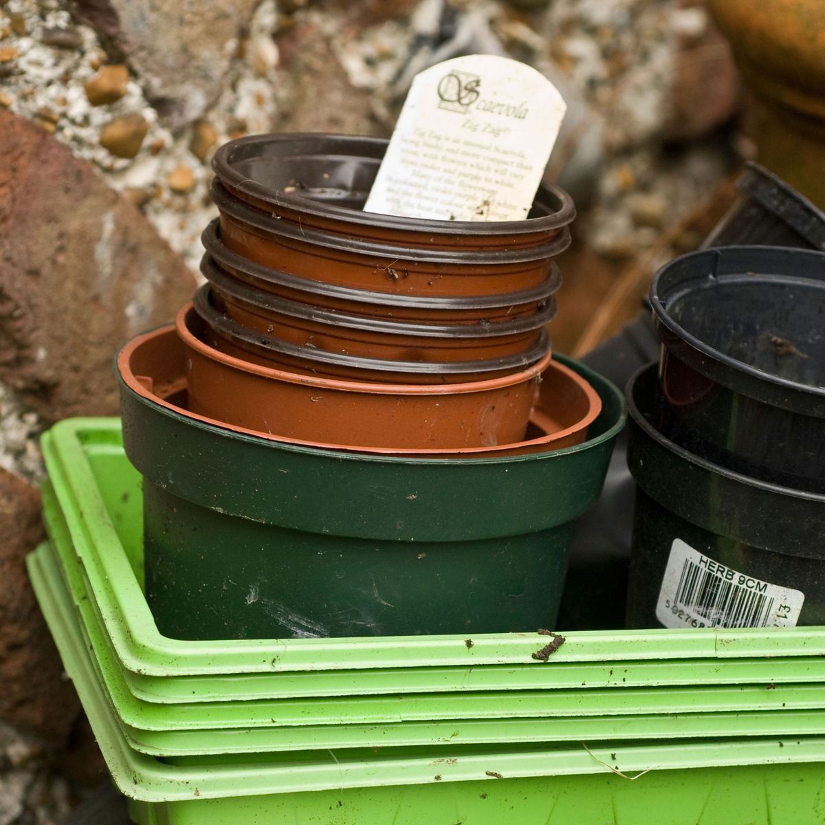 4 façons de recycler les pots de fleurs en plastique : éliminez les dégâts dans le jardin et restez vert en même temps