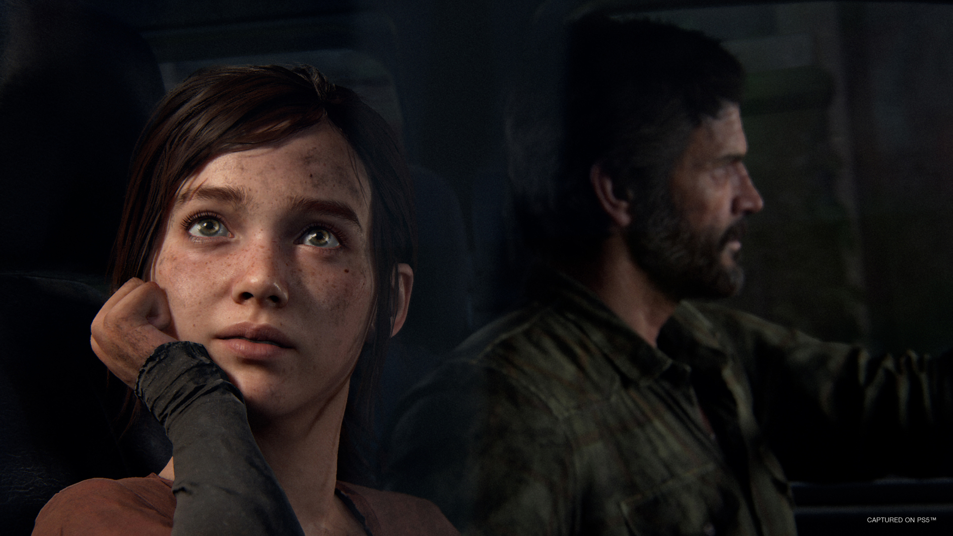 The Last of Us PC Is Not 'Naughty Dog Quality', Developer Admits