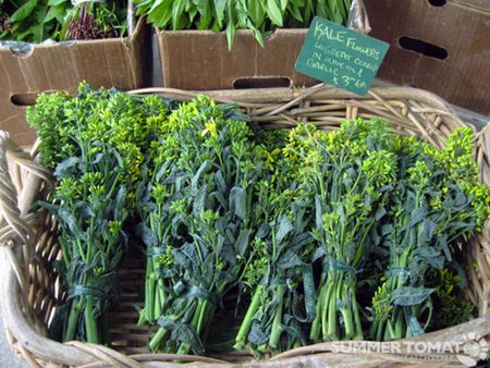 Basket Full Of Napini Kale