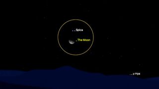 night sky graphic showing the sky tonight with the moon and spica very close together.