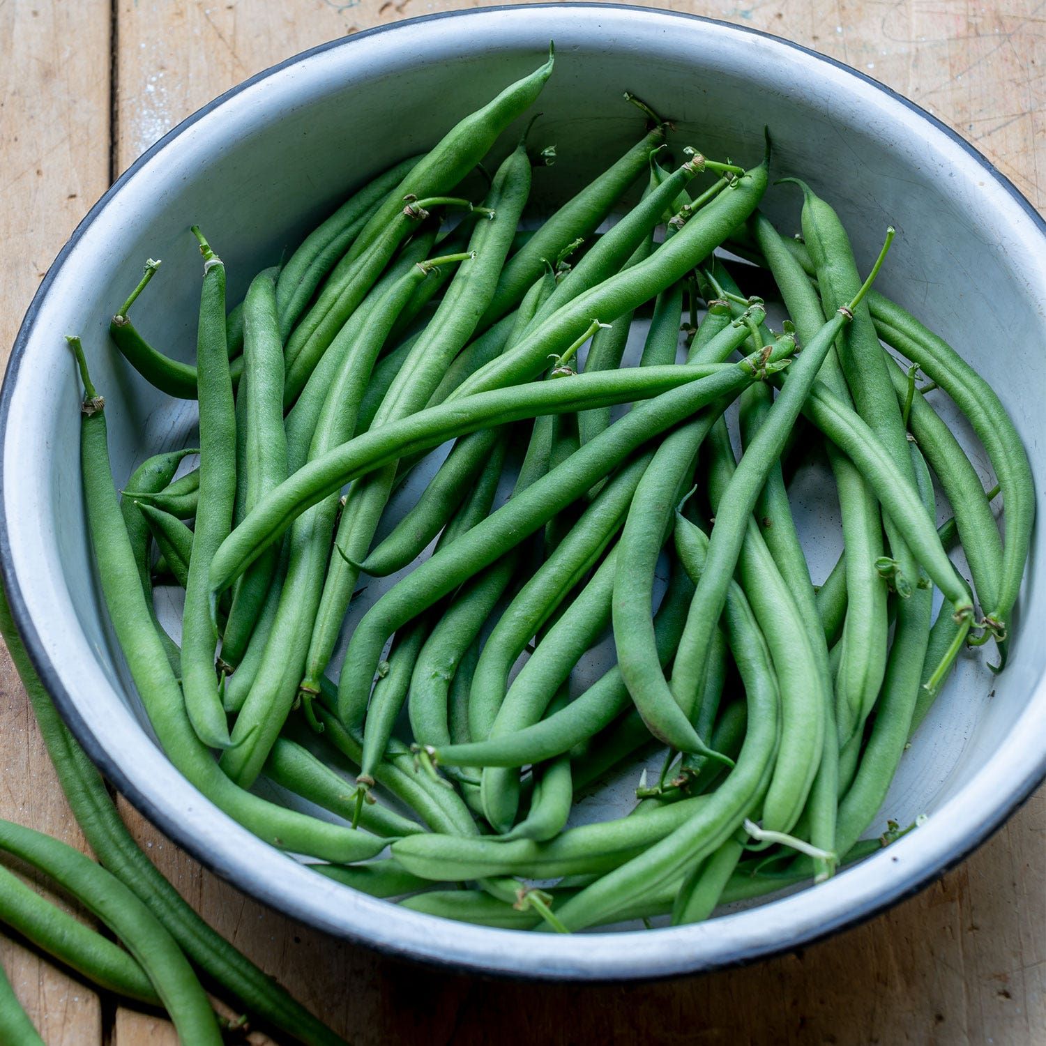 Porch Pick Bush Bean Seeds