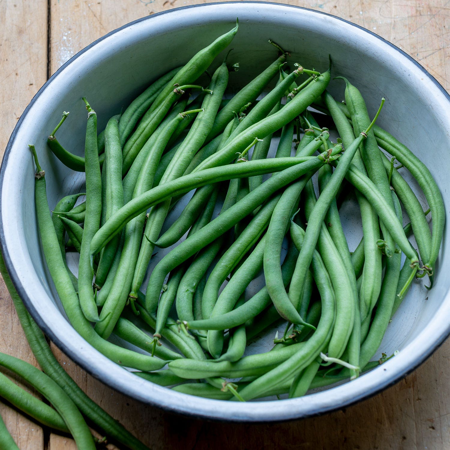 Porch Pick Bush Bean Seeds
