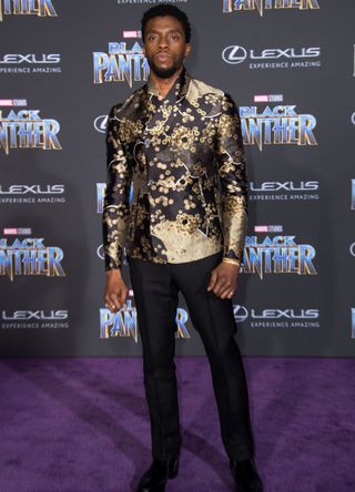 Chadwick Boseman at the premiere of Black Panther.