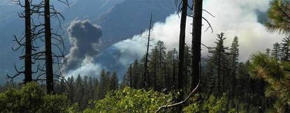 Pilot dies while trying to fight wildfire in Yosemite National Park