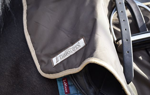 Thermatex trainer rug review