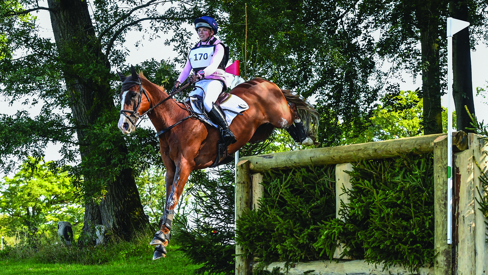 Georgia Bartlett, a rider in a pink and white top and a blue hat, rides chestnut horse Spano De Nazca over a cross-country fence made of wooden rails and foliage, in the shadows, at Cornbury