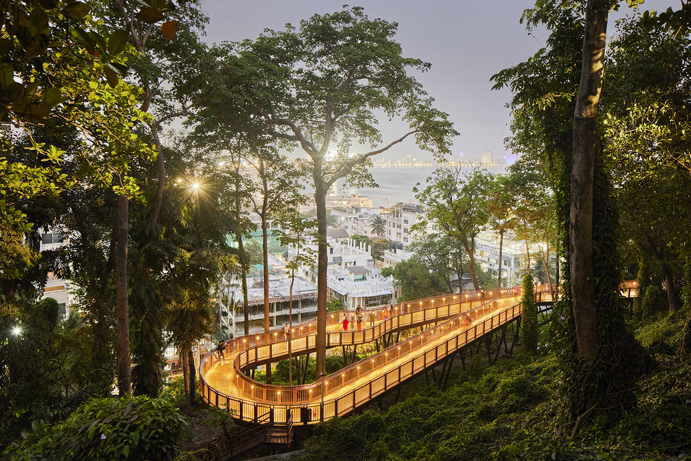 Malabar Hill's forest trail, an elevated timber walkway among trees