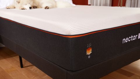 Nectar Premier Copper mattress review: Close up of Nectar Premier Copper Mattress with a dog on it