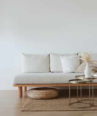 Clutter-free living room in neutral colors