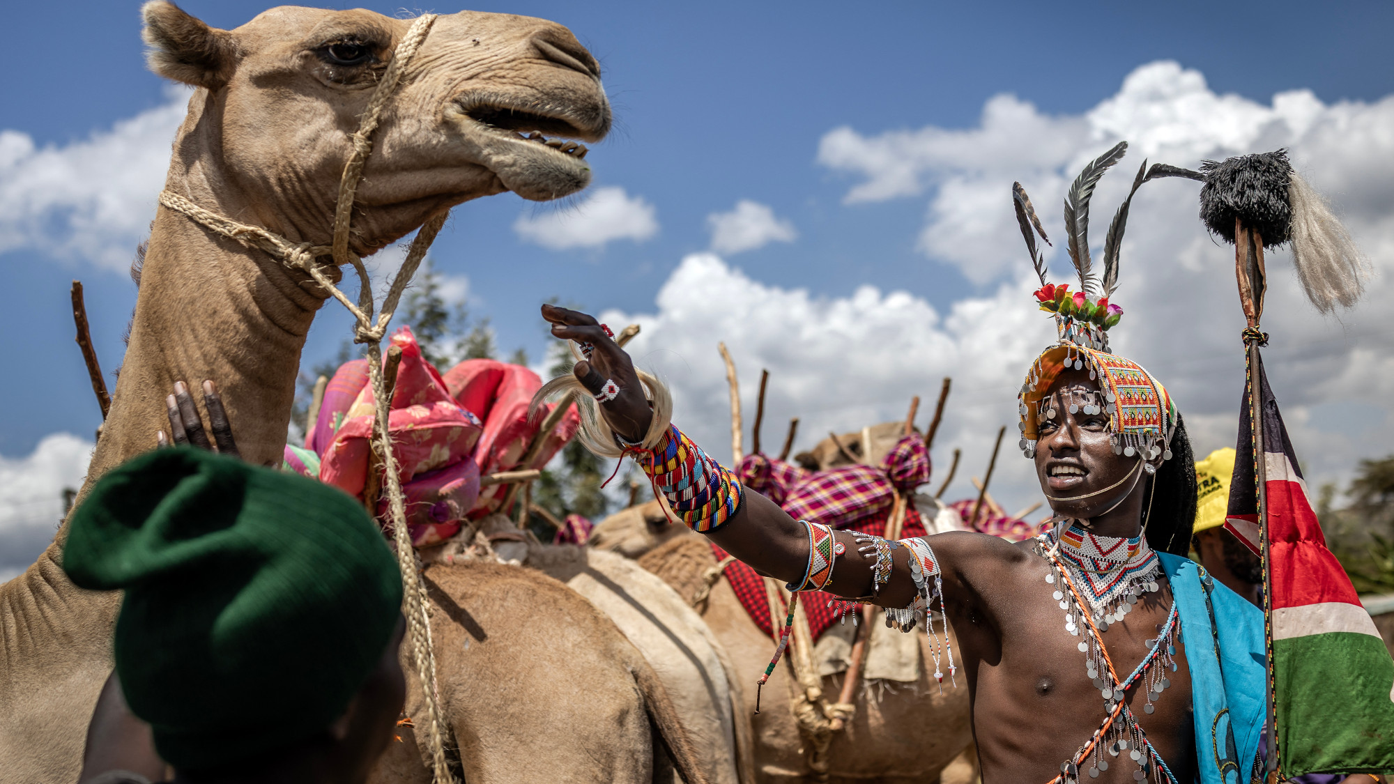 A camel