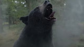 A still of the bear from horror comedy Cocaine Bear