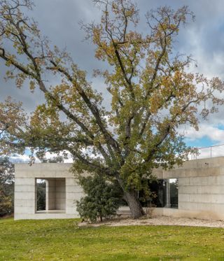 An old oak tree was a focal point of the design