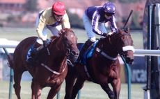 Foreign Exchange wins at Ayr