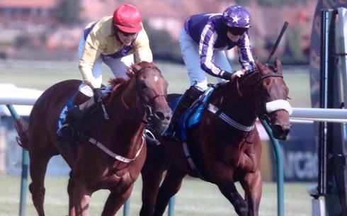 Foreign Exchange wins at Ayr