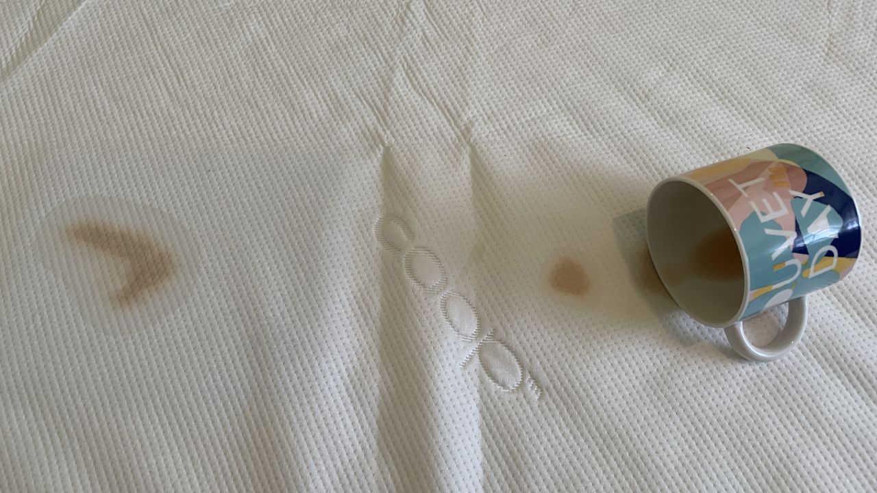 Coop Home Goods Ultra Tech Waterproof Mattress Protector review